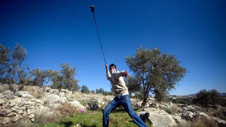 Nine Israelis wounded in coordinated attacks in West Bank settlements